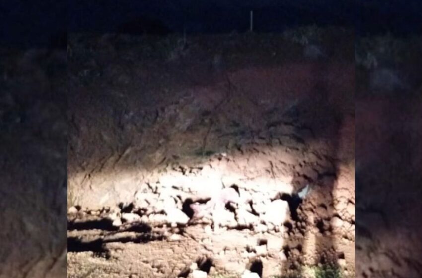  Homem é resgatado com vida após passar oito horas soterrado em escavação em Videira