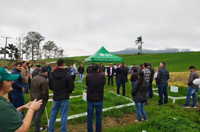  Evento técnico reúne produtores para discutir manejo de pastagens de inverno em Braço do Norte
