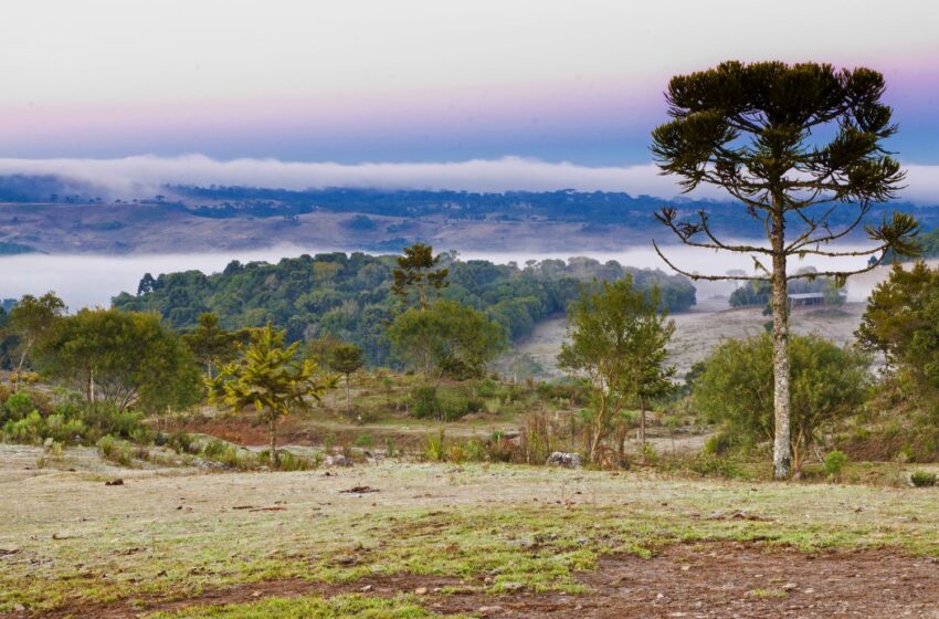  Frio persiste em Santa Catarina nesta semana e chuva forte retorna a partir de sexta