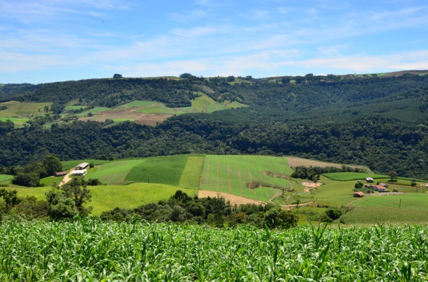  Agricultores e pescadores podem apresentar projetos para receber apoio do SC Rural 2